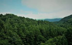 自组网+Ku宽带卫星图传，为野保监测搭建“空天地一体化”高速通道
